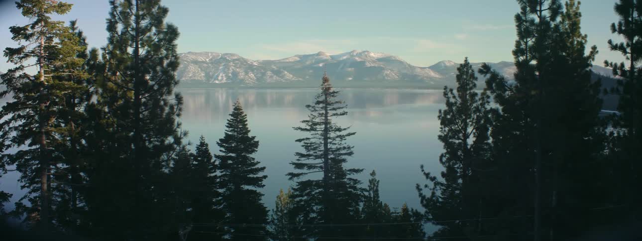 Pine tree forest in front of a calm lake next to the mountains at morning