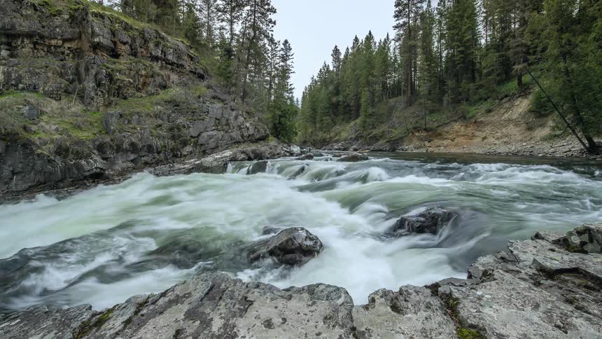Water rushes over rocks in a mountain stream