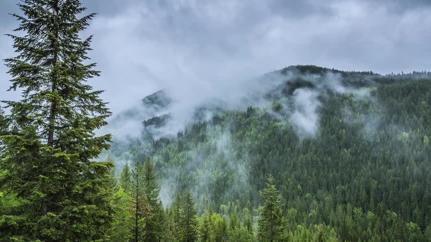 Clouds float over a forested mountainside