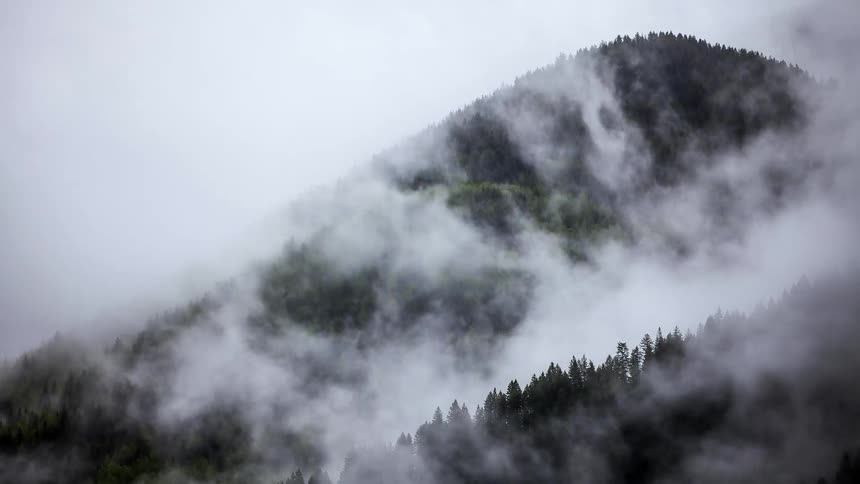 Clouds are moving around rapidly on this tree covered mountain