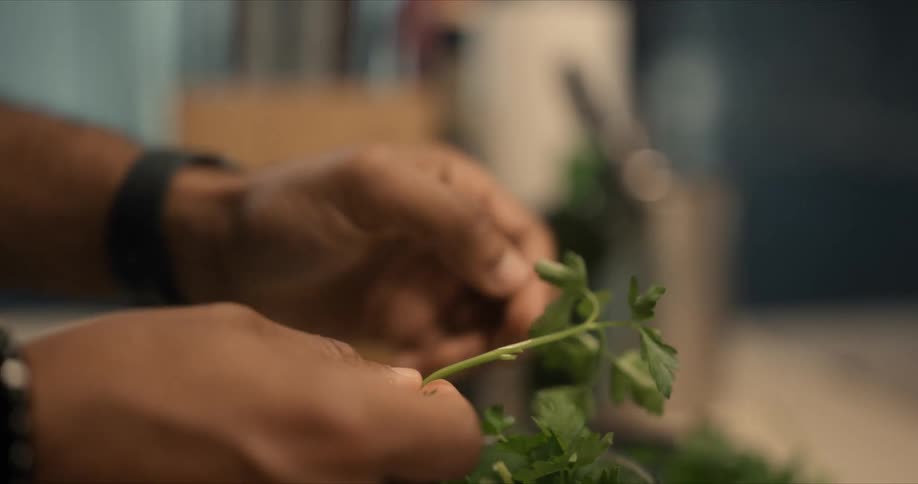 A man is taking herbs from a cup and pulling off the leaves