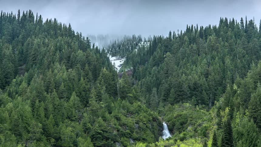Aerial view of a dense forest on a mountain with a waterfall
