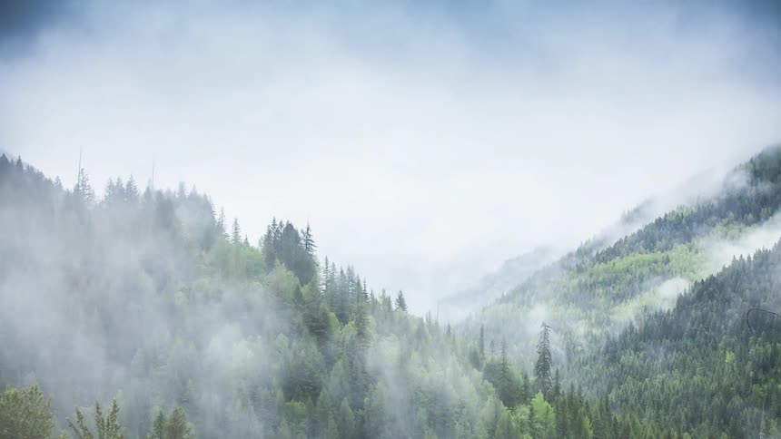 Clouds form over a forested mountainside