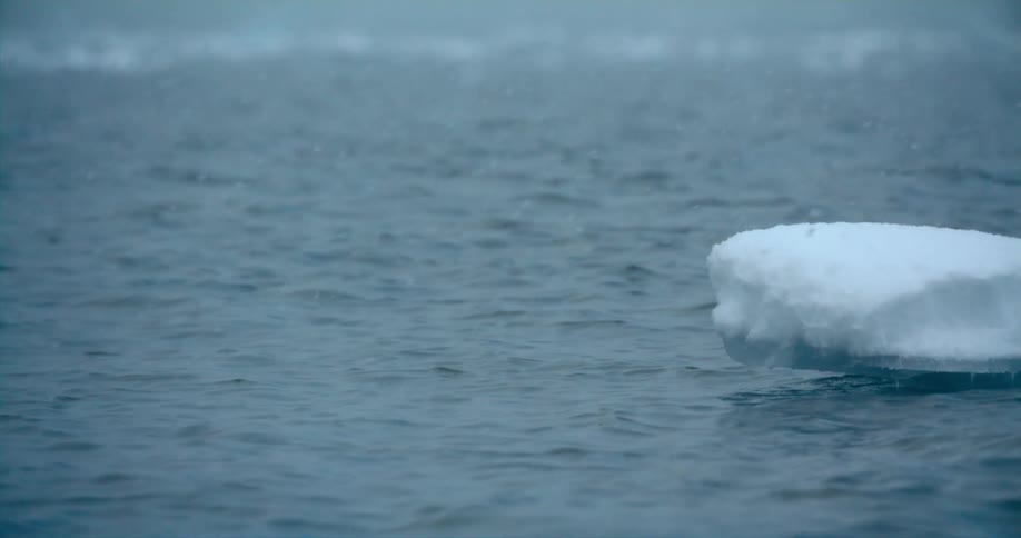 Snow is falling on a piece of ice floating in the water