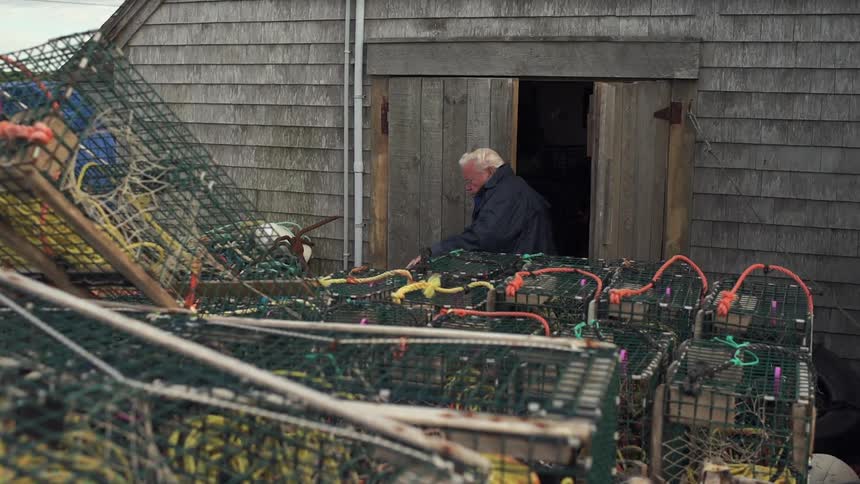 Man exits a shed with cages all in front of him