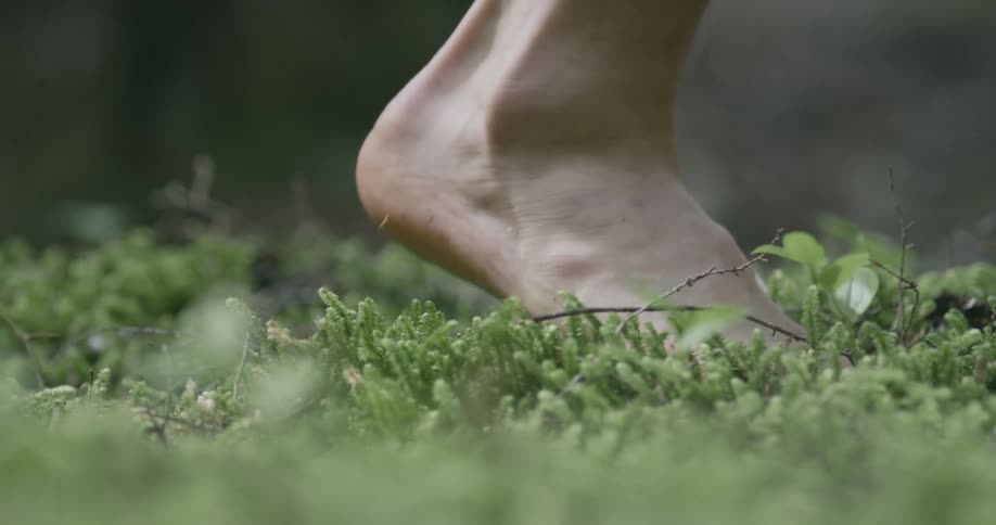 A person walks through the grass