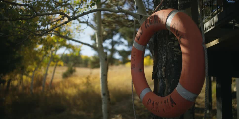 The sun shines on a ring buoy life preserver hanging on a tree in the forest