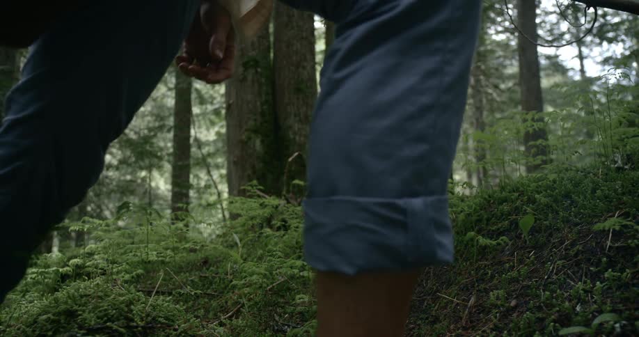 A man is hiking in the forest