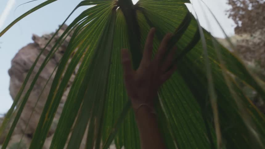 A person touches the tree as they walk past
