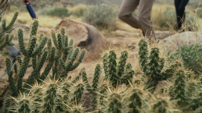 People hike through the desert