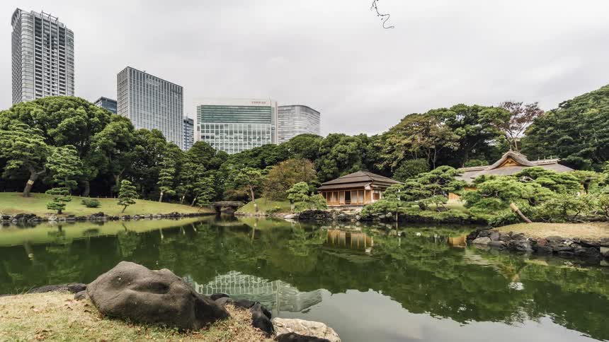 Buildings and trees sit near the lake in the city park while pedestrians walk nearby