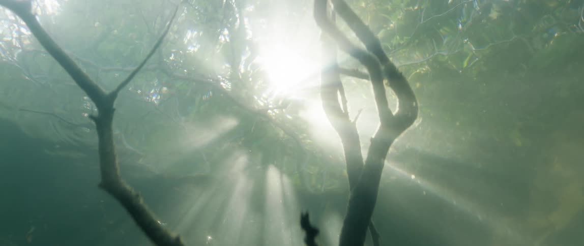 Sunlight shines from above as water ripples over