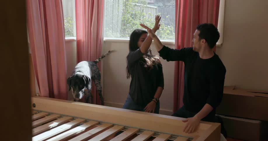 A man and woman play with their dog in a bedroom