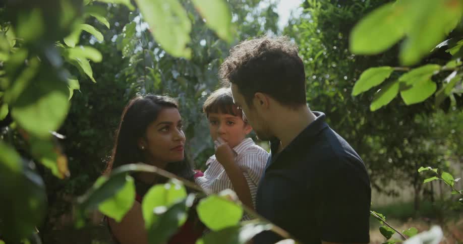 A mother, father and child pick fruit off of trees