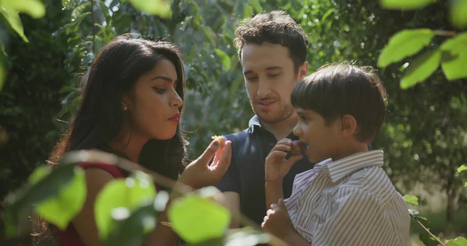 Man woman and child stand outside by trees eating and talking