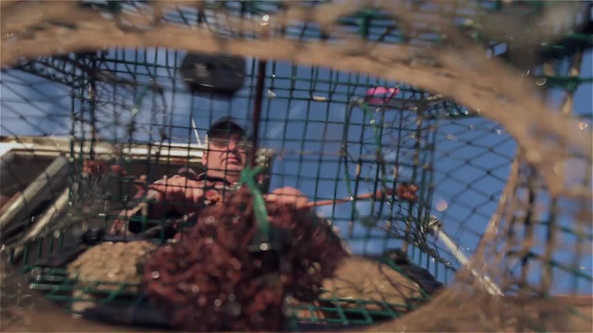 View from inside a cage as a man pulls it out