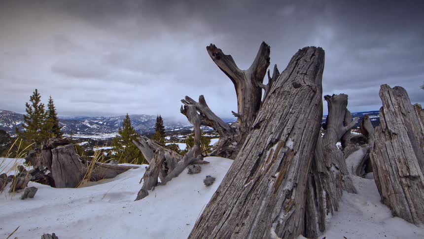 Time lapse of a field with broken trees and snow