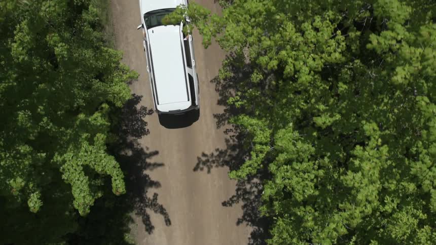 A white van travels on a narrow forest road