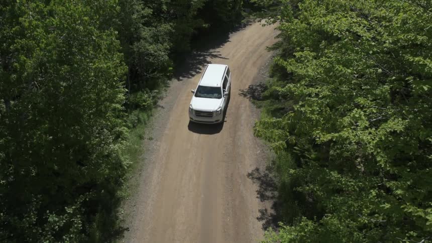 A white van travels on a tree lined forest road
