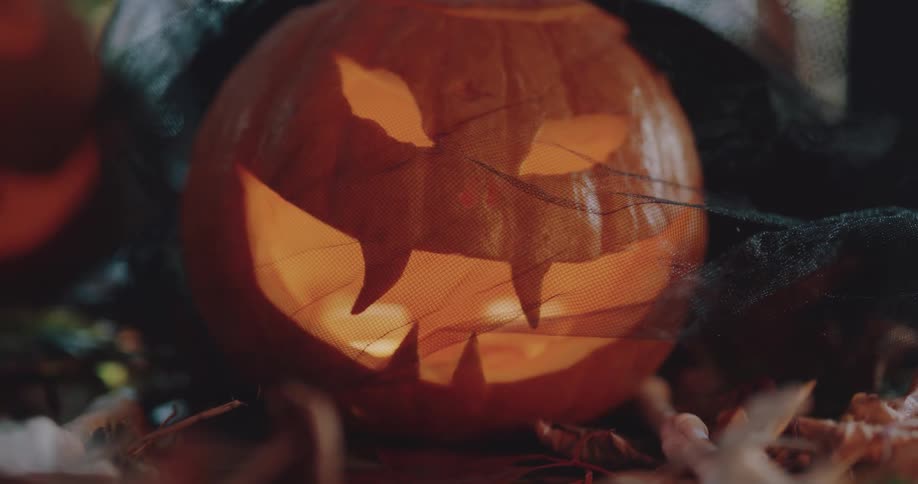 Black gauze cloth covers carved jack o lantern sitting on the ground among fallen leaves