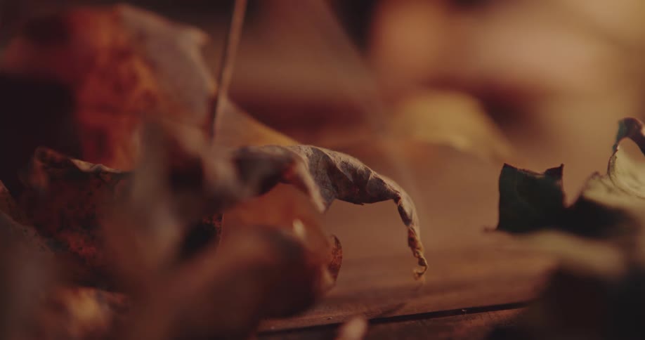 Wisps of white smoke coming out of dry leafs over a wooden table
