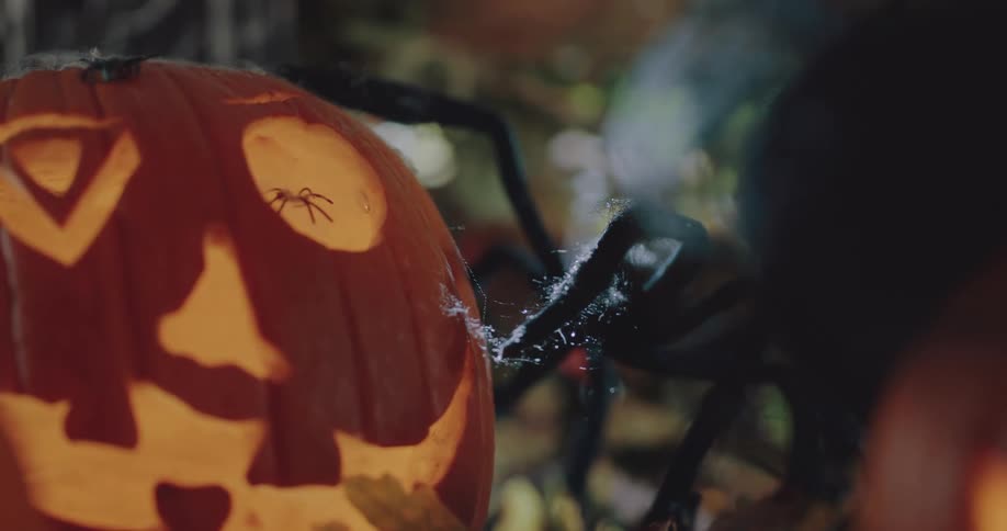 A carved pumpkin sits outside by decorative spiders