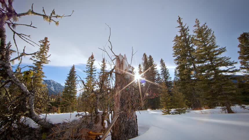 The sun is setting over this snow and tree covered field