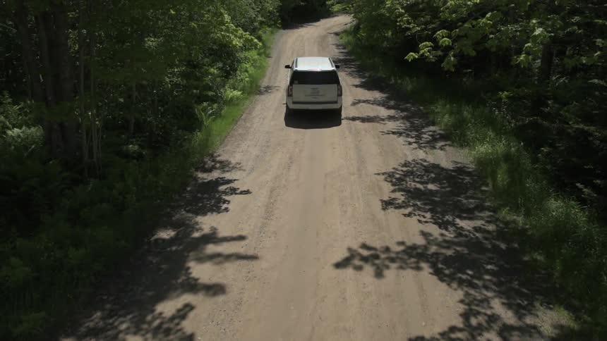 A vehicle drives down a tree-lined dirt road