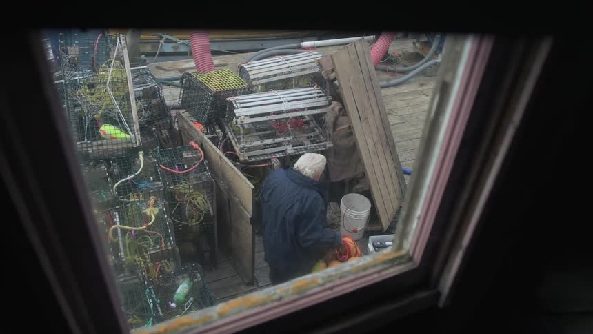A man is seen out of a window carrying something below