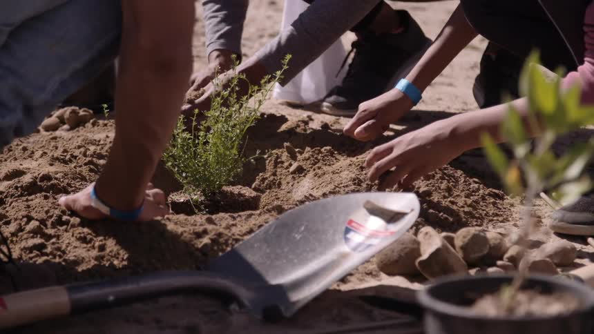 People place soil around a new plant in a garden