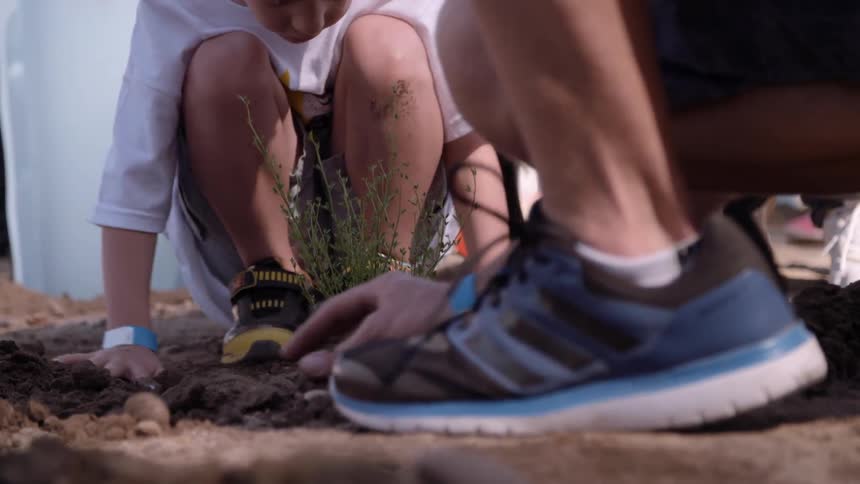 People are crouched planting in the dirt
