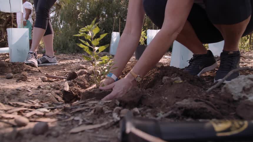 A person crouches down to plant something in the dirt