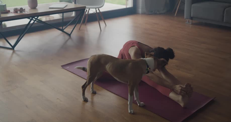 Woman wearing sports clothes sitting over a mat on the living room pets her dog