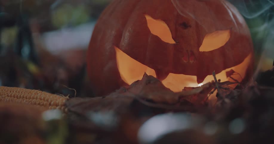 A view of a jack o lantern in the forest