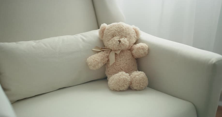 A teddy boy sitting on an armchair in a house during the day