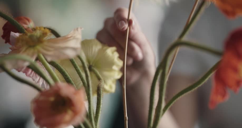 A person lifts a dandelion from a flower arrangement
