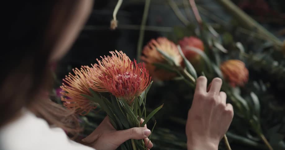 A woman is picking flowers during the spring time