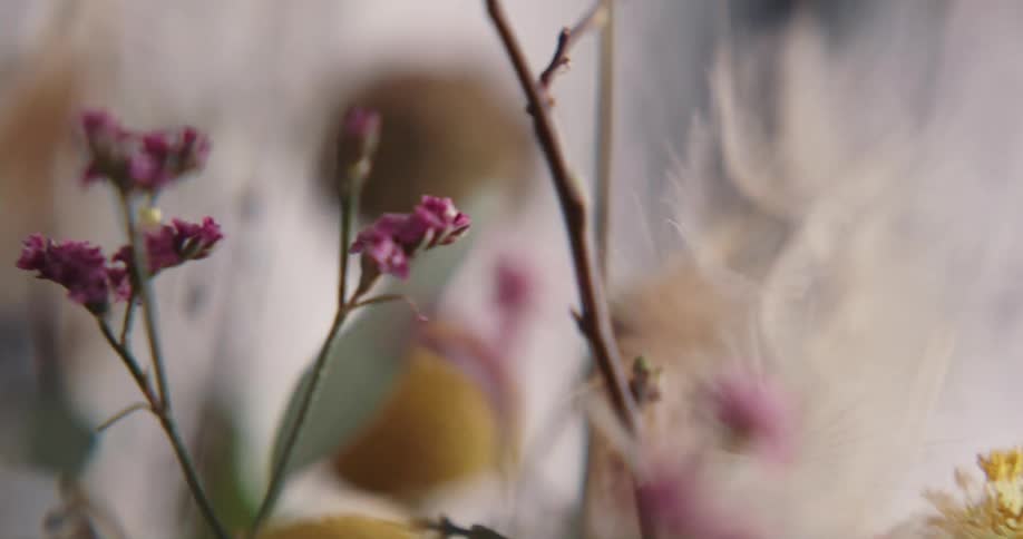 Close up of blooms on a plant