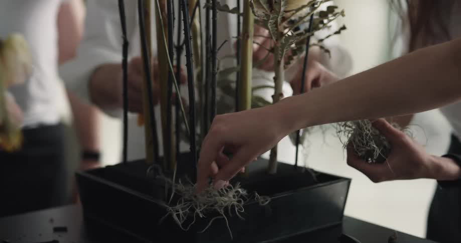 Coworkers arrange a plant