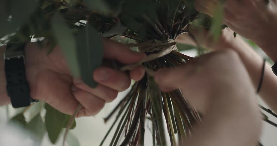 Someone is tying this plant together