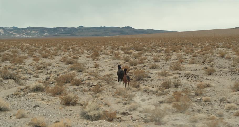Two horses running in desert lands near some mountains