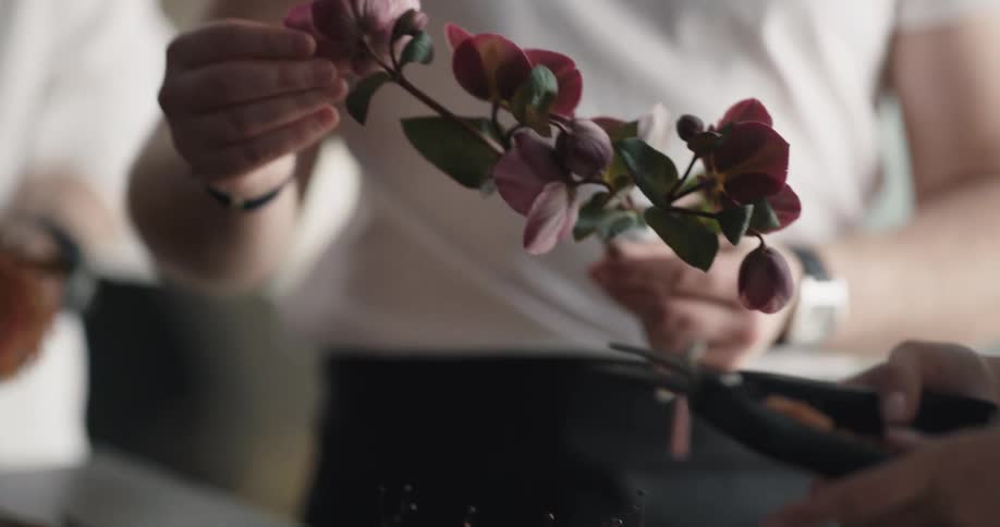 People are arranging flowers