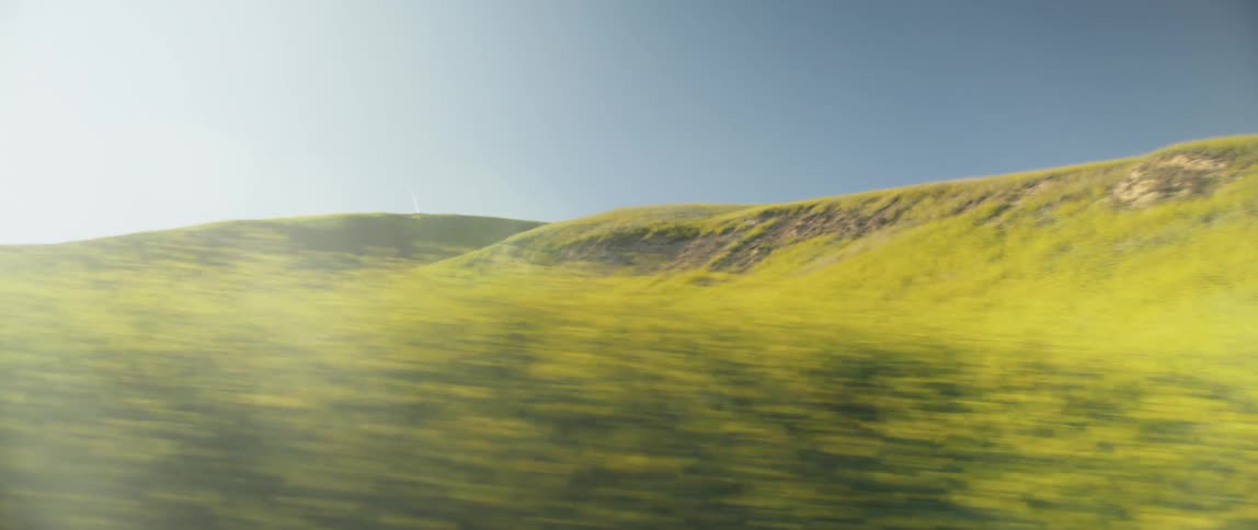Traveling past hills and ridges covered in grass and bright yellow flowers