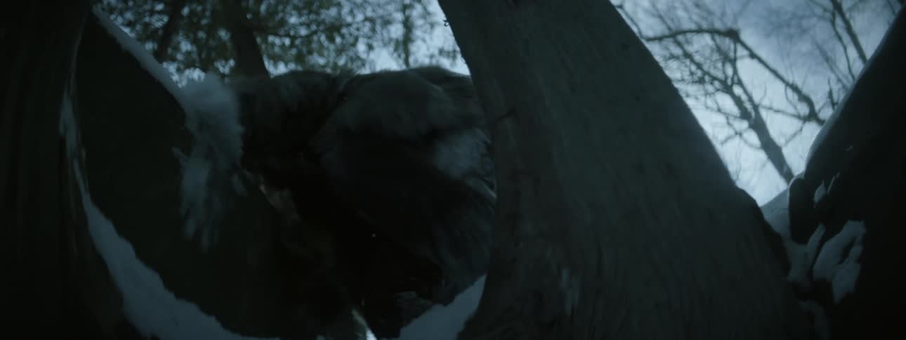 A man kicks snow as he walks through the forest