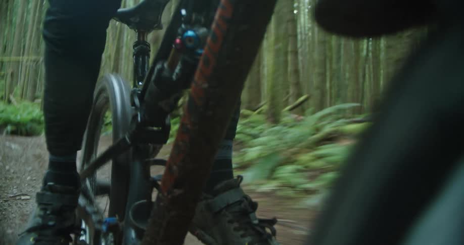 Point of view of mountain bike rapidly descending through forest trail
