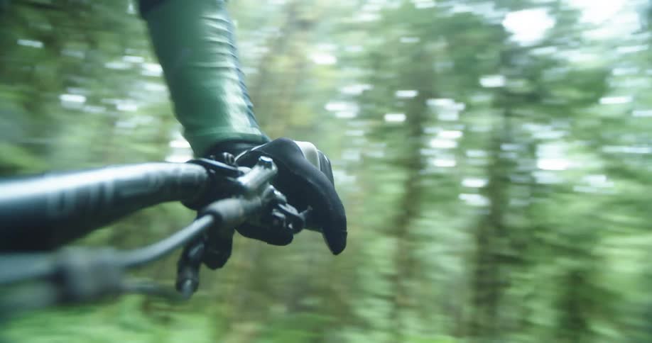 A view of a rider's glove as they ride a mountain bike through trees in a dense forest