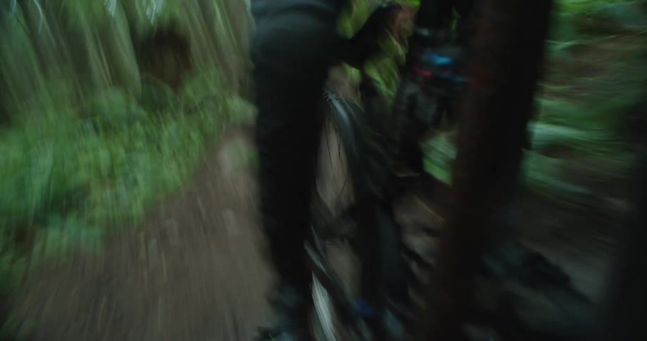 POV view of mountain bike suspension and wheels being ridden at speed through forest