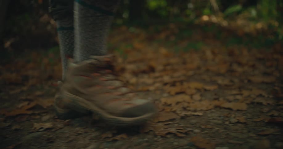 A person is walking through the woods in autumn