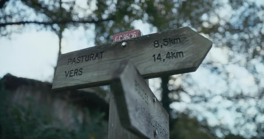 Wooden signs mounted on a pole outdoors during the day
