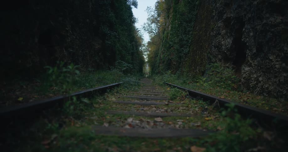 Close up of a railway track going through a forest